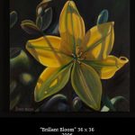Brillant Bloom Sophie frieda oil on canvas