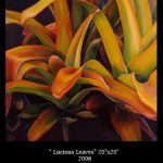 lucious-leaves-sold-r