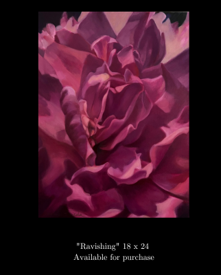 Sophie Frieda original oils on canvas. Flowers and Succulents